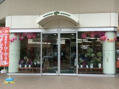 成城石井藤が丘ｅｆｆｅ店