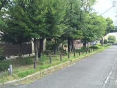 柳瀬川街園