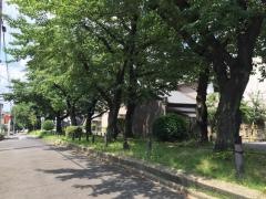 柳瀬川街園