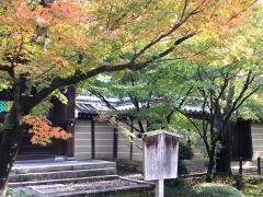 永観堂幼稚園