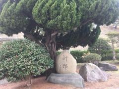 島根県立益田翔陽高等学校