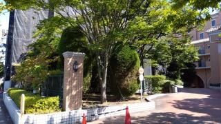 青山病院