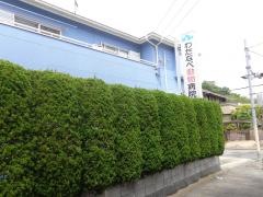 わたなべ動物病院