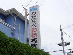 わたなべ動物病院
