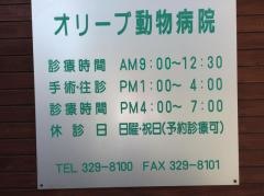 オリーブ動物病院