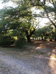 八幡公園