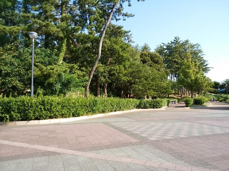 七塚中央公園