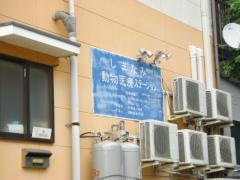 しまなみ動物医療ステーション