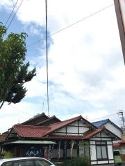 もりしげ