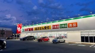 スギ薬局　太平通店