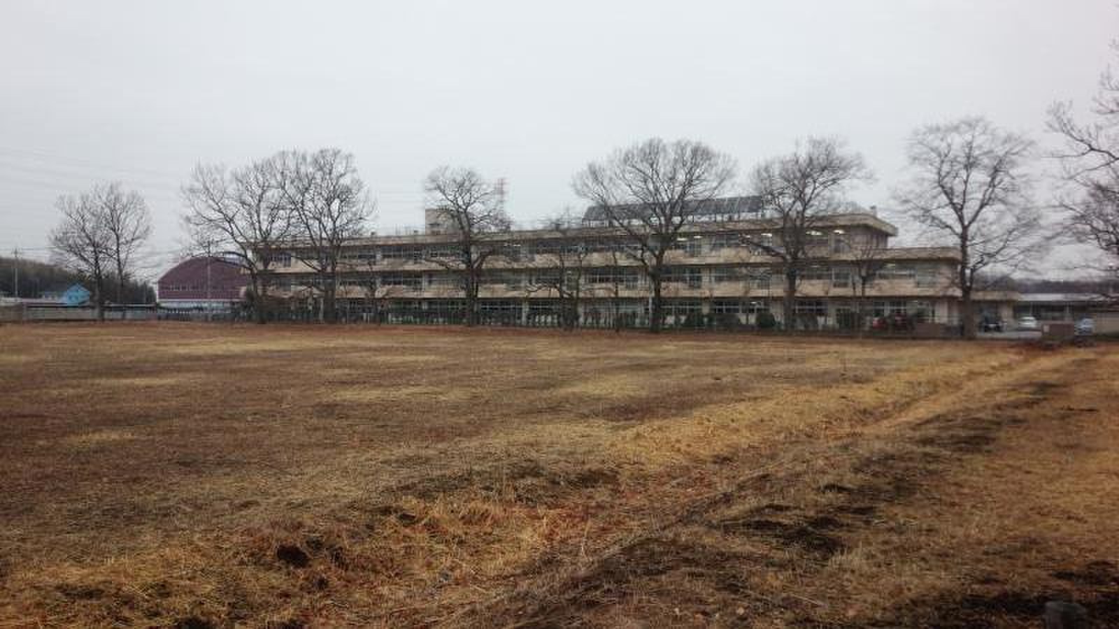 桑 中学校
