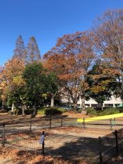 八潮中央公園