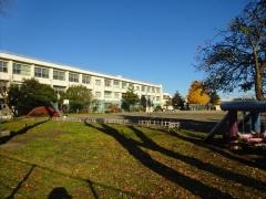 ひばりが丘小学校
