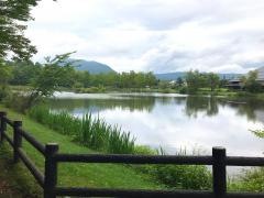 矢ケ崎公園