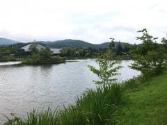 矢ケ崎公園