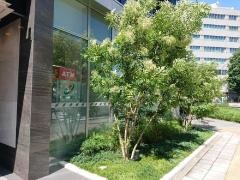 セブンイレブン　名古屋椿町店