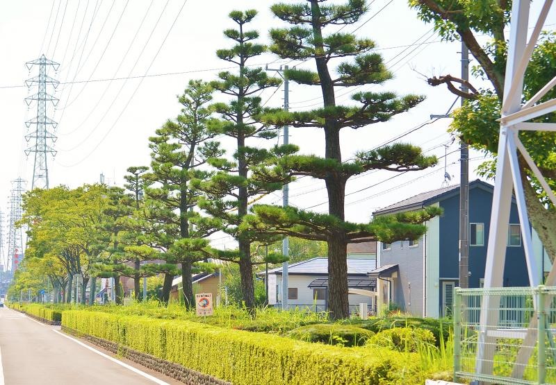 第5号六名東緑地の外観