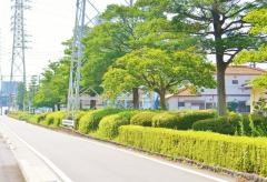 第5号六名東緑地