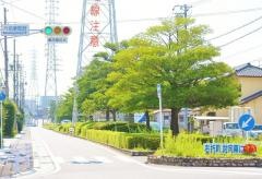 第5号六名東緑地
