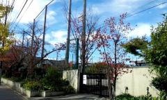 元町小学校