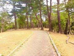 知花都市緑地