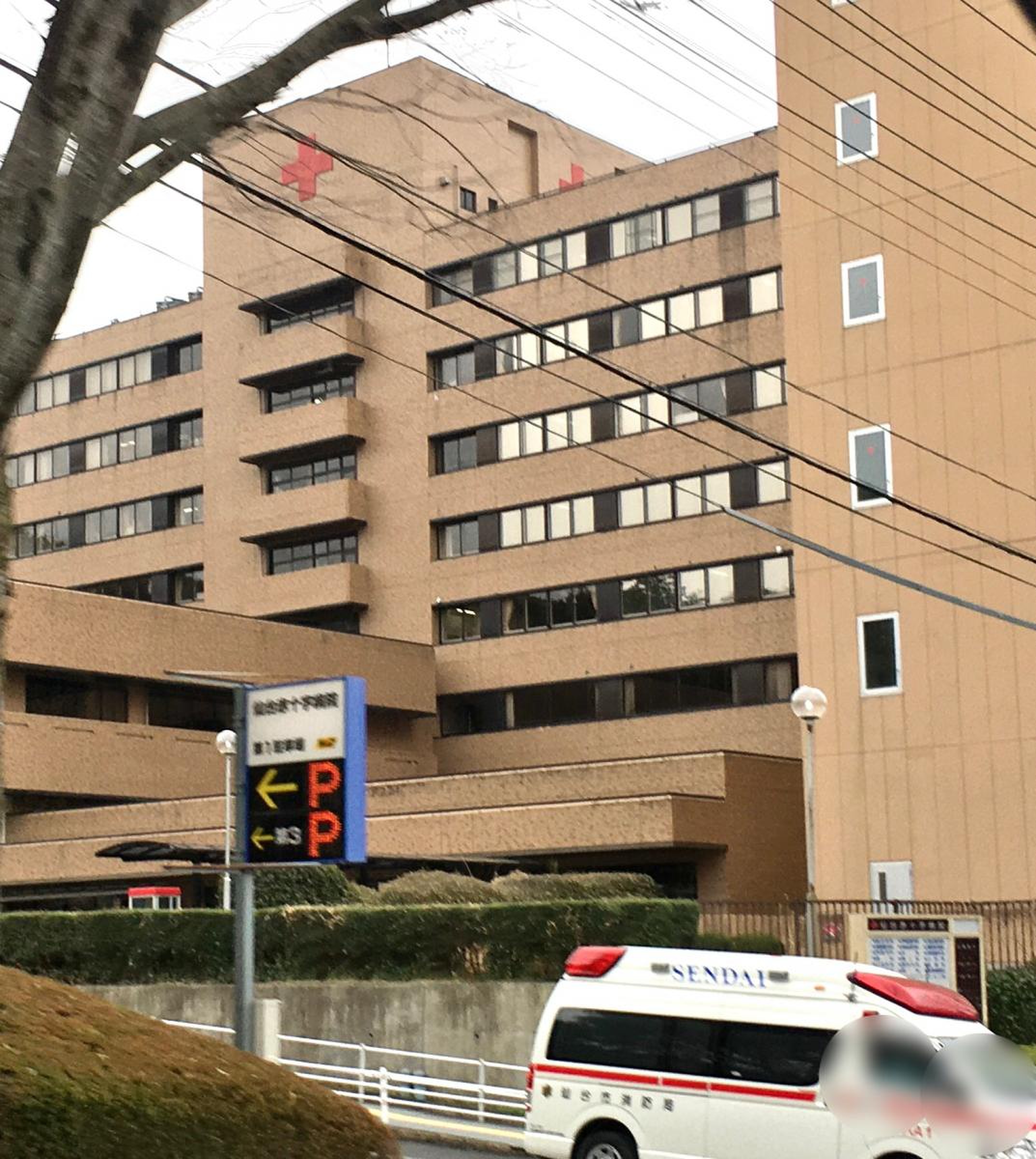 公の場での発言・インタビュー報道記録