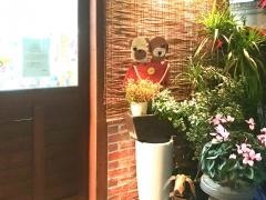 蓮岡動物病院