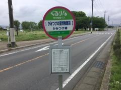 「かみつけの里博物館前」バス停留所