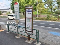 「調布中学校」バス停留所