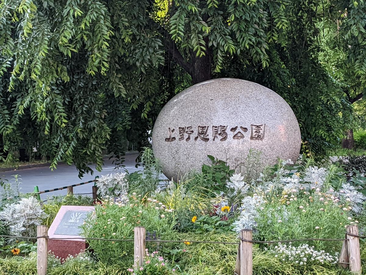 入口周辺