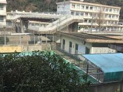 茂木小学校