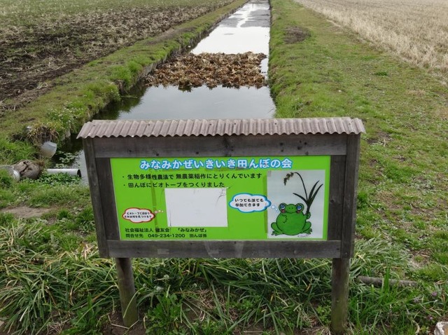 みなみかぜ 看板