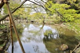 新江戸川公園