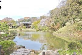 新江戸川公園