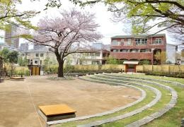 新江戸川公園