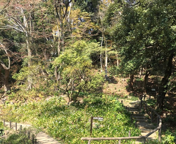 投稿写真1