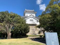 挙母城跡（七州城跡）