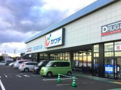 カワチ薬品　石巻西店