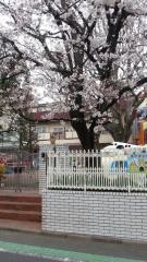 樫の実幼稚園
