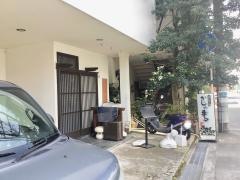 がじゅまる