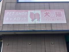 キャメロット