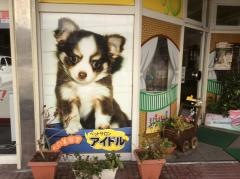 アイドル