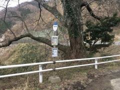 「カマヤ」バス停留所