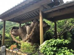 塩原観光ホテル割烹旅館湯の花荘