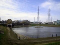 柳島治水緑地