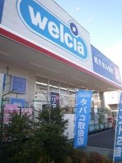 ウエルシア　板橋赤塚店