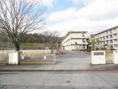 自由が丘東小学校