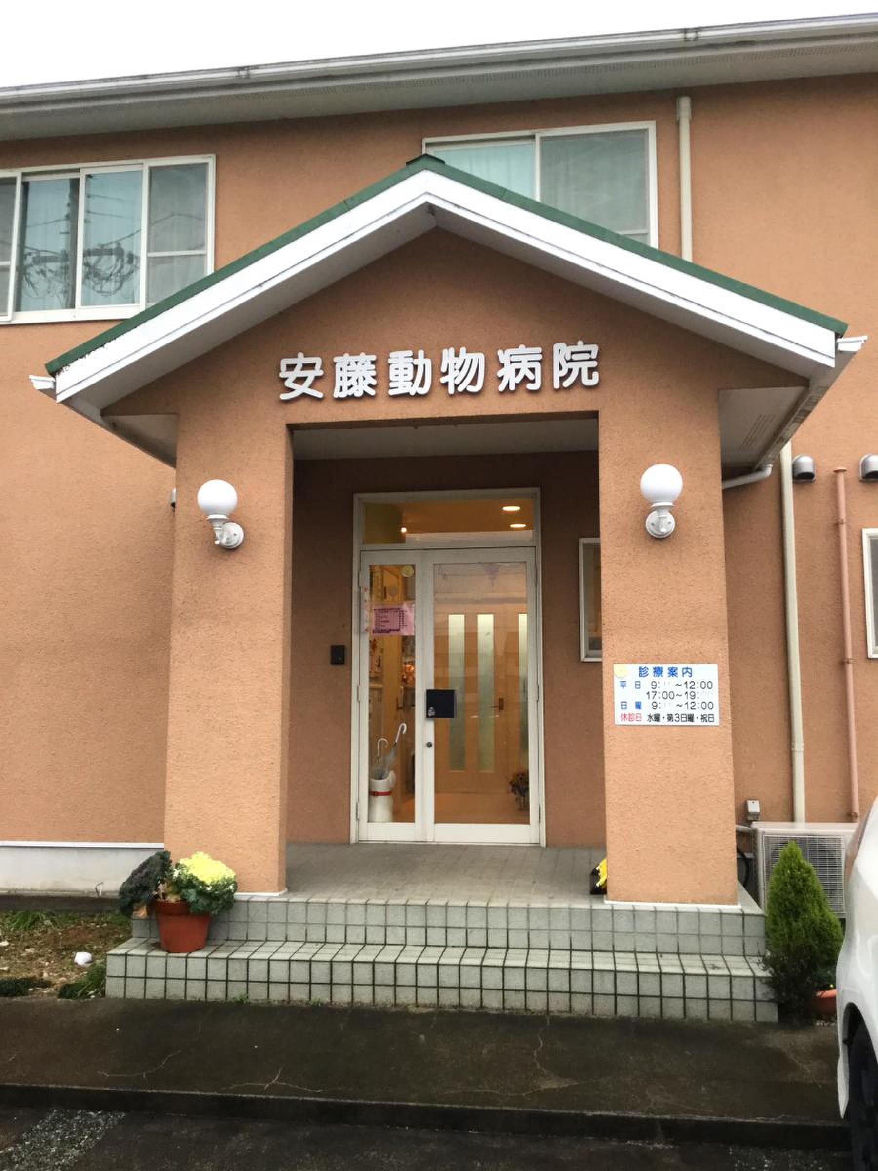 あん どう 動物 病院
