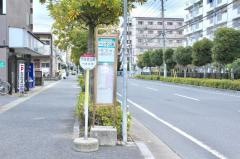 「やなぎ公園」バス停留所