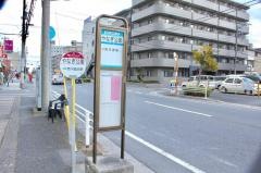 「やなぎ公園」バス停留所